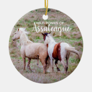 Décoration En Céramique Poneys sauvages d'ornement de Noël d'Assateague