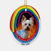 Décoration En Céramique Pont Arc-En-Ciel pour animaux de compagnie (Droite)