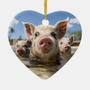 Décoration En Céramique Porcs nageurs des Bahamas - Aventure à Exuma Pig B