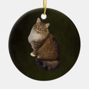 Décoration En Céramique Portrait de chat Maine Coon