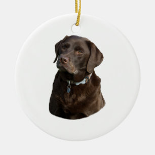 Décoration En Céramique Portrait de photo de chien de Labrador de chocolat