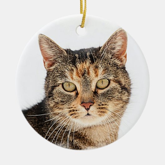 Décoration En Céramique Portrait d'un chat (Devant)