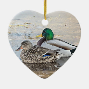 Décoration En Céramique Portrait d'un colvert mâle et femelle