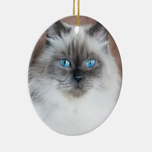 Décoration En Céramique Portrait himalayen (Droite)