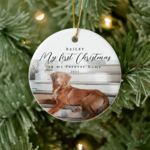 Décoration En Céramique Premier Noël dans My Forever Home Pet