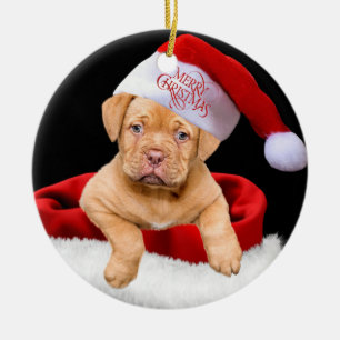 Décoration En Céramique Puppy de Christmas