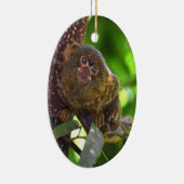 Décoration En Céramique Pygmy Marmoset Magie (Droite)