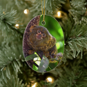 Décoration En Céramique Pygmy Marmoset Magie