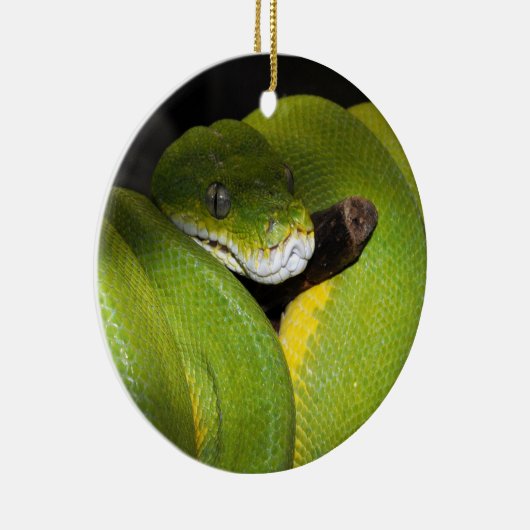 Décoration En Céramique Python vert d'arbre (Droite)