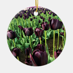 Décoration En Céramique Queen of the Night Tulips, Oregon
