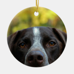 Décoration En Céramique Qui Dit Chien