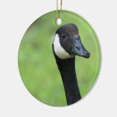 Décoration En Céramique Quoi ? (Gauche)