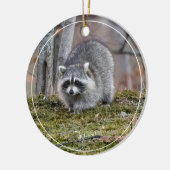 Décoration En Céramique Raccoon (Gauche)