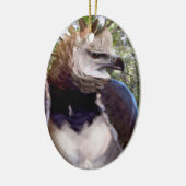 Décoration En Céramique "Raptor" (Gauche)