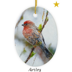 Décoration En Céramique Red House Finch Peinture d'oiseaux sur mesure Anné
