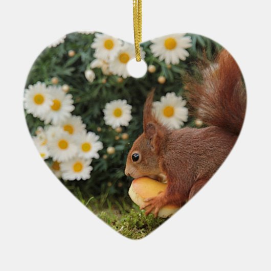 Décoration En Céramique Red Squirrel and Daisies Cute Photo (Devant)