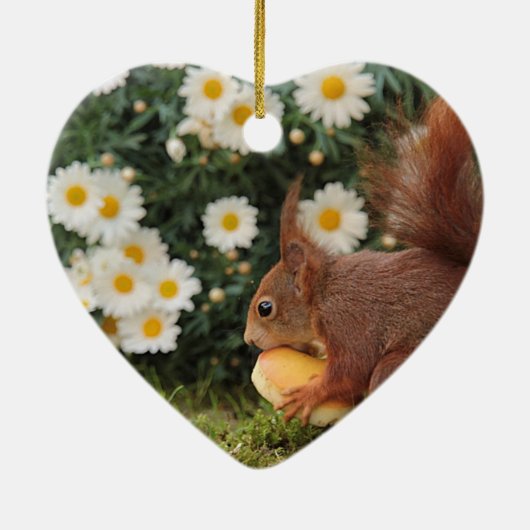 Décoration En Céramique Red Squirrel and Daisies Cute Photo (Dos)
