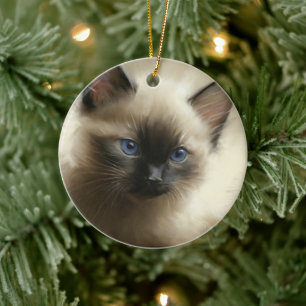 Décoration En Céramique Regard D'Innocence Siamese Kitten Portrait