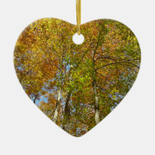 Décoration En Céramique Regard sur les feuilles d'automne III Foliage colo