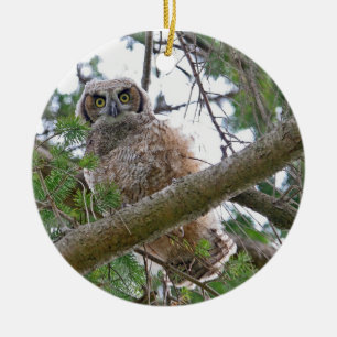 Décoration En Céramique Regarder de hibou de bébé
