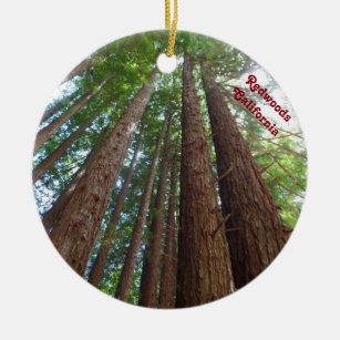 Décoration En Céramique Réserve forestière la Californie d'arbres de