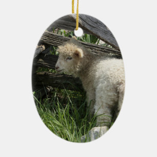 Décoration En Céramique Ressort/Pâques : Deux agneaux la même herbe, une