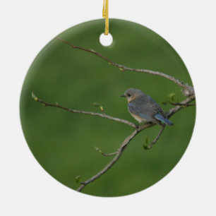 Décoration En Céramique Ressort/Pâques : Oiseau bleu masculin, oiseau bleu