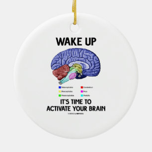 Décoration En Céramique Réveillez-le est l'heure d'activer votre cerveau
