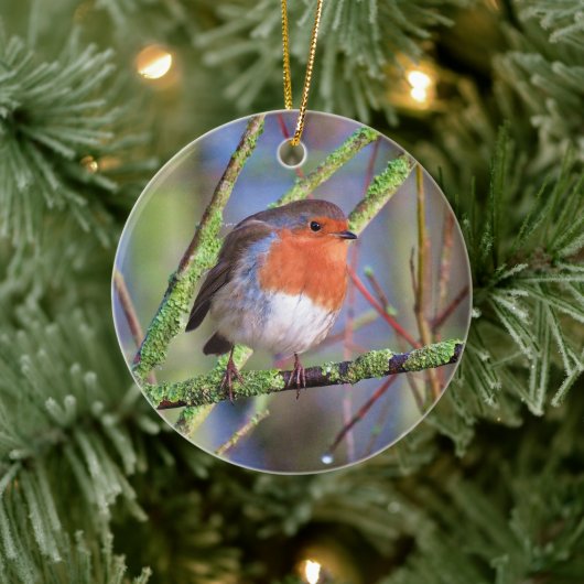 Décoration En Céramique Robin (Arbre)