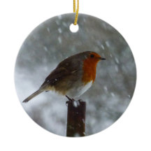 Robin en hiver
