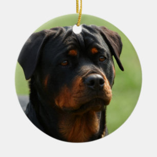 Décoration En Céramique Rottweiler