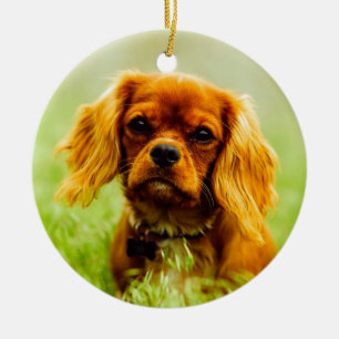 Décoration En Céramique Ruby Cavalier le roi Charles Spaniel