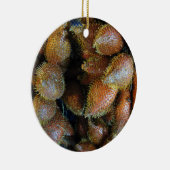 Décoration En Céramique Salak [Fruit de serpent] (Droite)