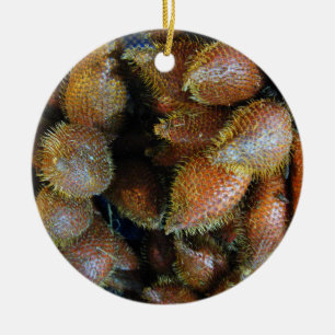 Décoration En Céramique Salak [Snake Fruit]