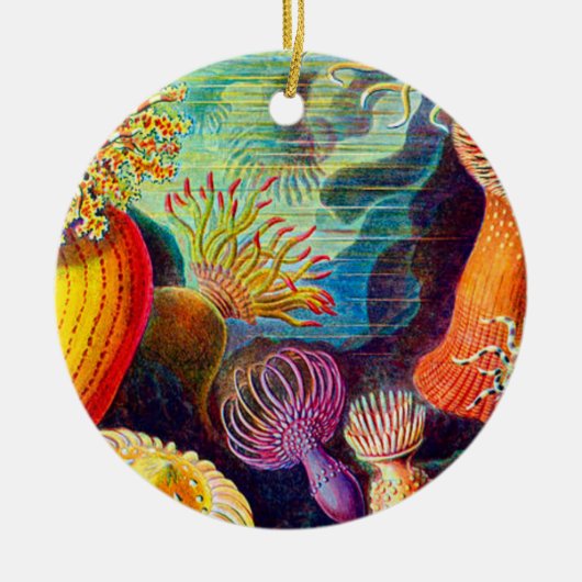 Décoration En Céramique Sea Anemone (Devant)