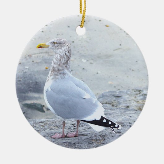 Décoration En Céramique Seagull Photo Ornament (Devant)