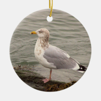 Décoration En Céramique Seagull Photo Ornament