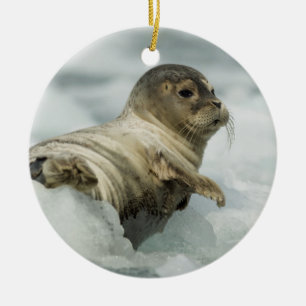 Décoration En Céramique Seal bébé doux
