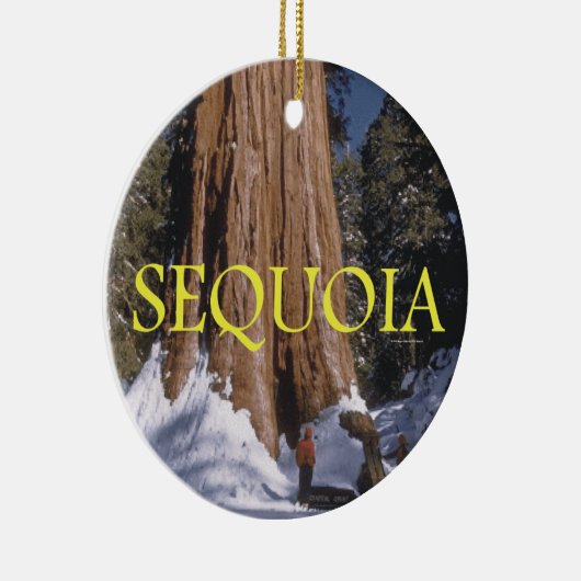 Décoration En Céramique Séquoia d'ABH (Droite)