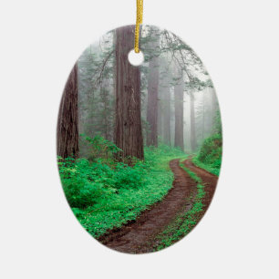 Décoration En Céramique Séquoia la Californie d'arbre