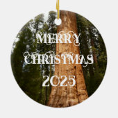 Décoration En Céramique Sequoia Tree Cone, Giant Redwood Ornament (Dos)