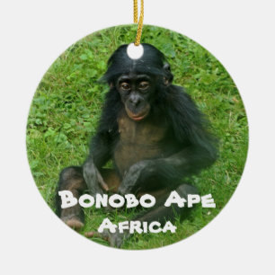 Décoration En Céramique Série des espèces menacées Bonobo Ape