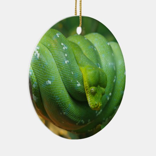 Décoration En Céramique Serpent Python à arbre vert (Droite)