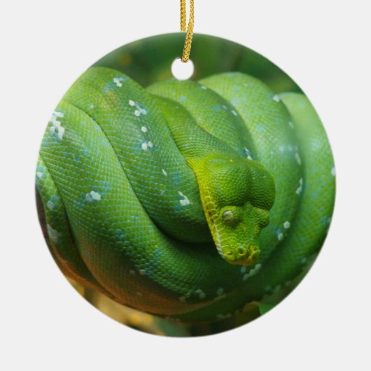 Décoration En Céramique Serpent Python à arbre vert (Devant)