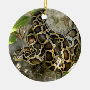 Décoration En Céramique Serpent python birman dans un arbre
