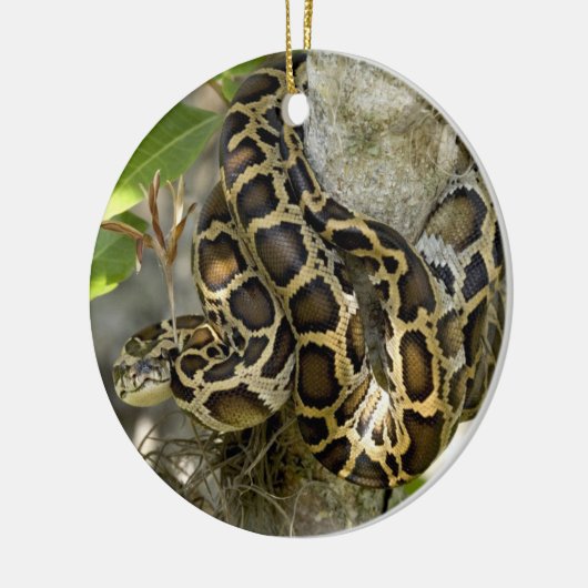 Décoration En Céramique Serpent python birman dans un arbre (Gauche)