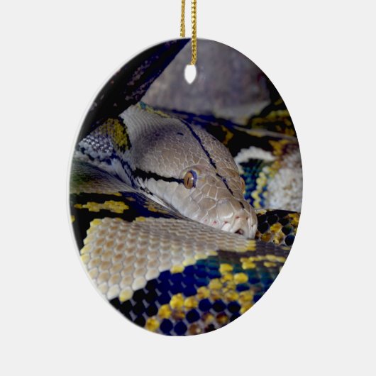 Décoration En Céramique Serpent Python réticulé (Droite)
