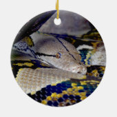 Décoration En Céramique Serpent Python réticulé (Dos)