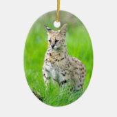 Décoration En Céramique Serval dans l'herbe (Devant)