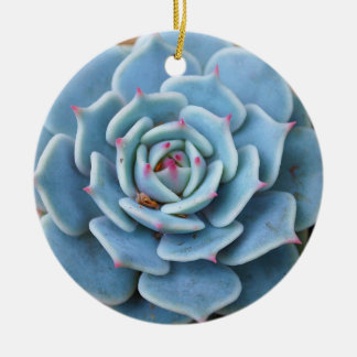 Décoration En Céramique S'est levé l'ornement succulent